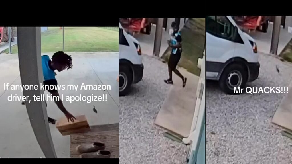 ‘I Have Watched This An Unhealthy Amount Of Times’: California Amazon Driver Goes Viral After Being Chased By A Duckling California Amazon Driver Goes Viral After Being Chased By Duckling