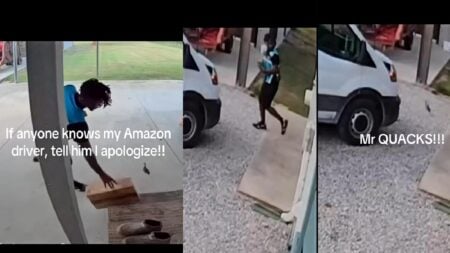 ‘I Have Watched This An Unhealthy Amount Of Times’: California Amazon Driver Goes Viral After Being Chased By A Duckling California Amazon Driver Goes Viral After Being Chased By Duckling