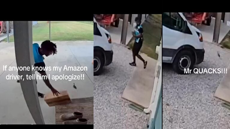 California Amazon Driver Goes Viral After Being Chased By Duckling