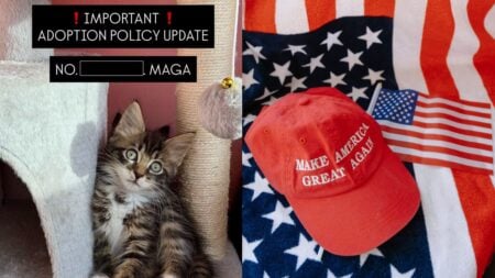New York Animal Rescue Faces Backlash After Banning MAGA Supporters and Conservatives From Adopting Kittens: ‘Still Nope’ A picture related to New York animal rescue.