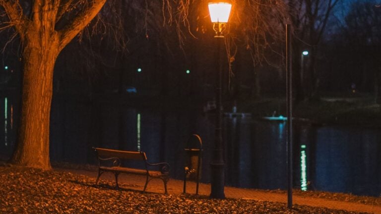 ‘Being Homeless in America Is a Crime Now’: New Mexico Creator Questioned by Police While Sleeping in His Car Nighttime park scene.