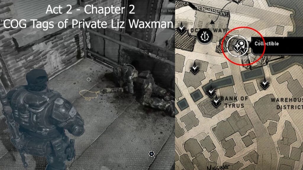 Liz Waxman COG Tags