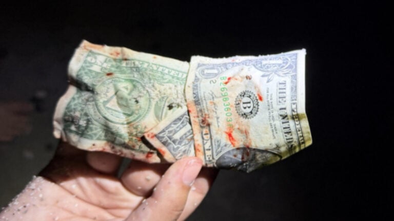 ‘Why Are U Touching It?’: South Carolina Beachgoer Finds Bloody-Looking Cash on Myrtle Beach and Picks It Up Barehanded South Carolina Beachgoer Finds Bloody-Looking Cash on Myrtle Beach