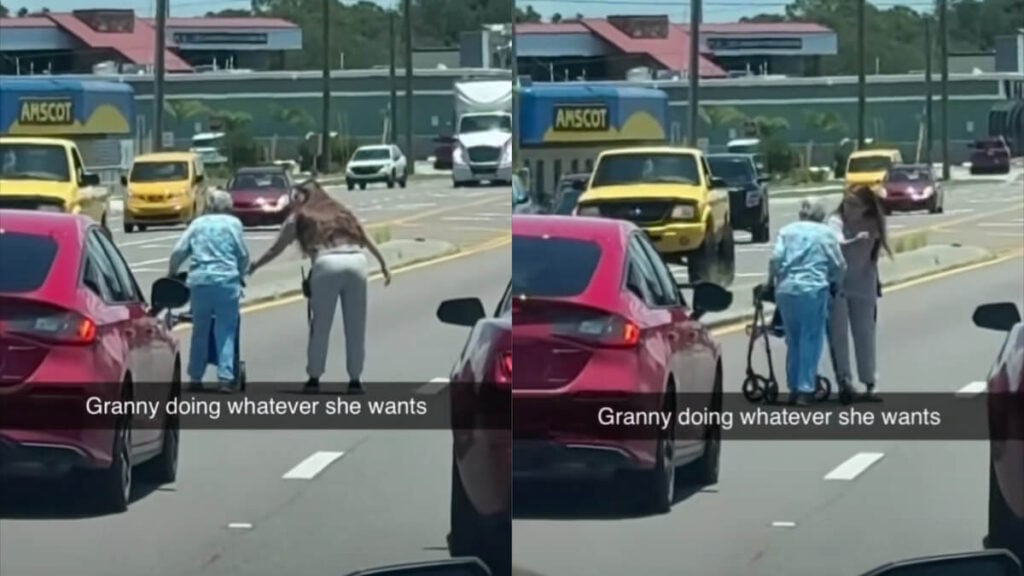 Florida Granny Blocks Traffic