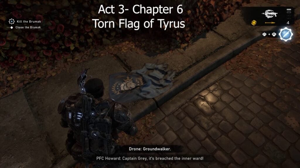 Torn Flag