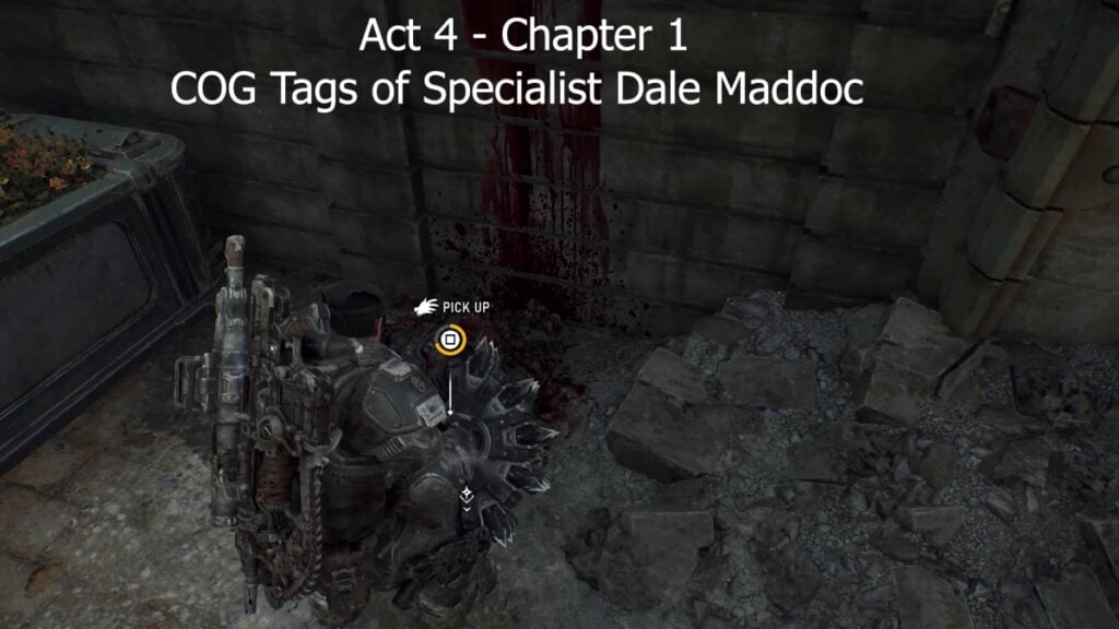 Dale Maddoc Tags