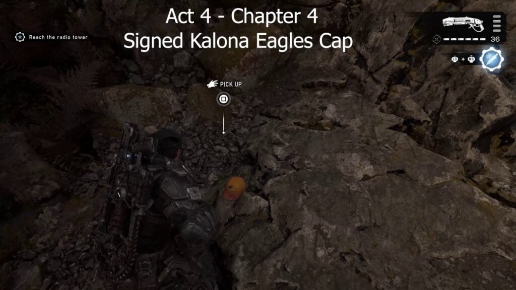 Kalona Eagles Cap
