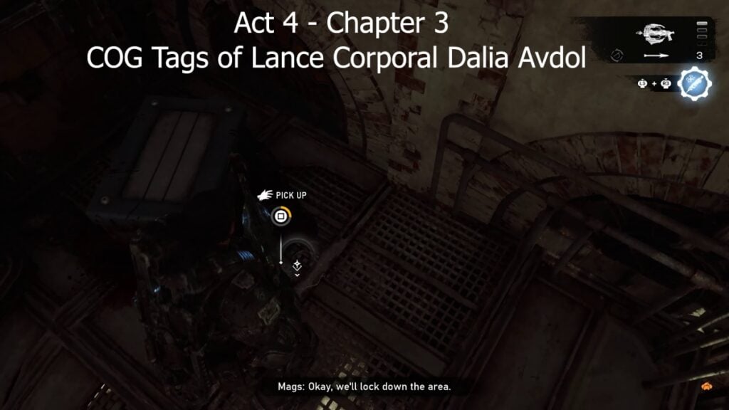 Dalia Avdol Tags