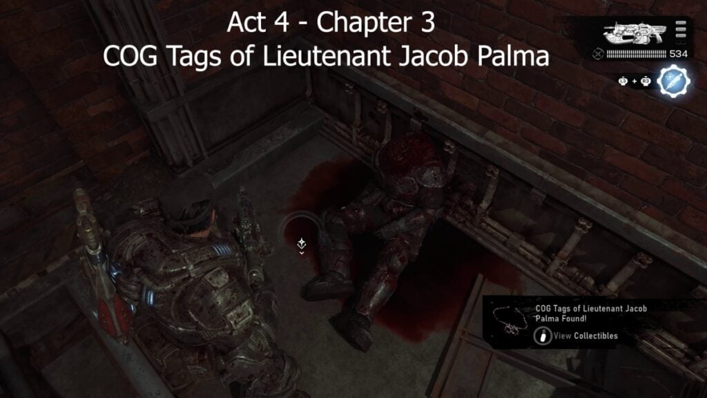 Jacob Palma Tags