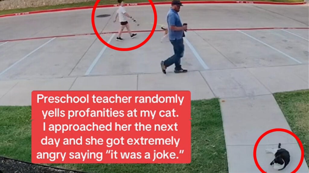 California Woman Confronts Preschool Teacher Over Profanity-Laced Cat Encounter: ‘People Are Crazy'