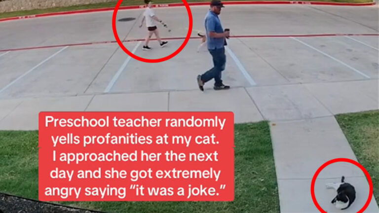 California Woman Confronts Preschool Teacher Over Profanity-Laced Cat Encounter: ‘People Are Crazy'