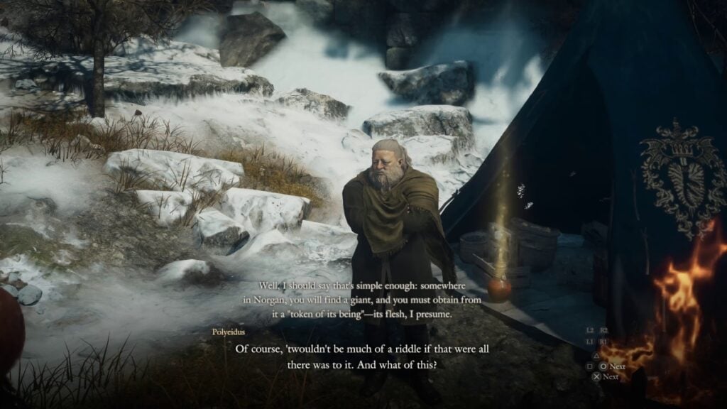 Dragon's Dogma 2 Dark Arizen Polyeidus