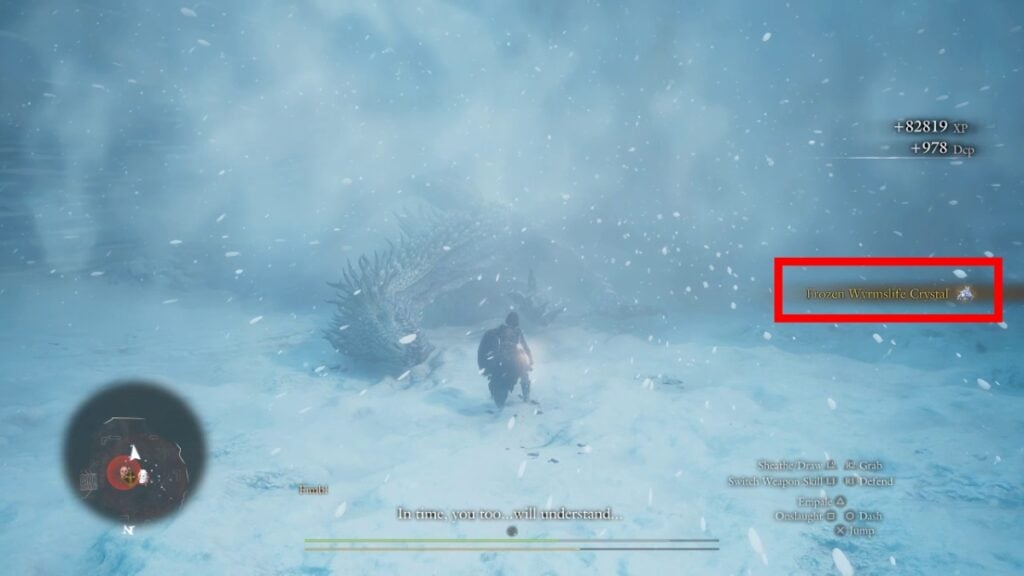 Frozen Wyrmslife Crystal