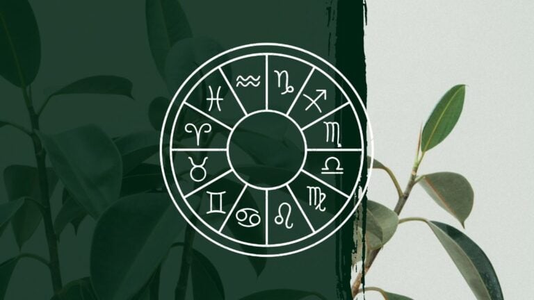 Today’s Horoscope: October 9 — Your Boundary Setting Is Not Responsible for Other People’s Reactions Today's Horoscope: October 9 — Your Boundary Setting Is Not Responsible for Other People's Reactions