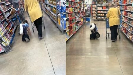 Texas Child Seen Walking on All Fours Through Grocery Store With Tail and Ears: ‘There’s a Time and a Place’ A picture of Texas child.