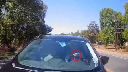 Louisiana Driver Rear-Ended by Woman With Dog in Her Lap and No Seat Belt: ‘Poor Thing Didn’t Deserve a Boomer for an Owner’ Louisiana Driver Rear-Ended by Woman With Dog in Her Lap and No Seat Belt