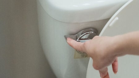 ‘See You in Court’: New York Renter Says Landlord ‘Collectively Punishes’ All Tenants Over Someone Flushing Wipes Close-up of a hand flushing a modern toilet