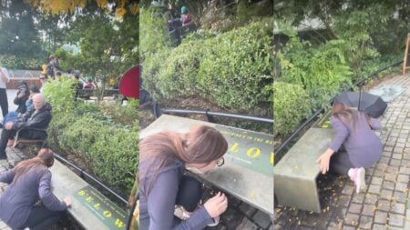 New York Woman Keeps Licking a Public Bench as Bystander Films the Bizarre Scene: ‘Is She Okay?’ Woman crouched beside a green metal bench with a Netflix poster on a paved path in a New York park.