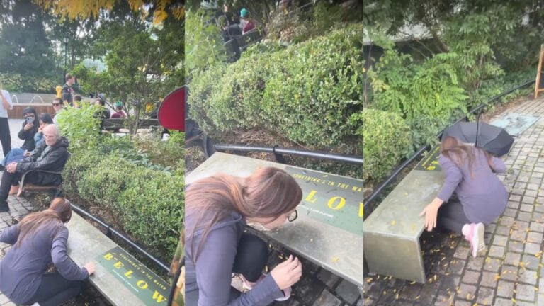 New York Woman Keeps Licking a Public Bench as Bystander Films the Bizarre Scene: ‘Is She Okay?’ Woman crouched beside a green metal bench with a Netflix poster on a paved path in a New York park.