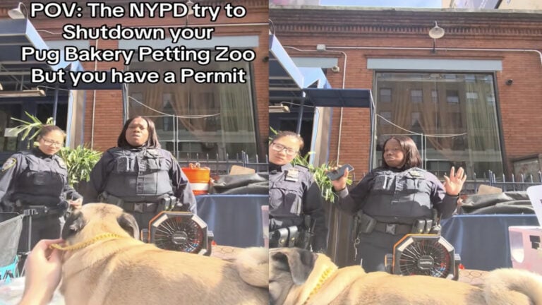 Unamused Pennsylvania Officers Confront Owner of Pug Petting Zoo to Stay Away from Local Businesses: ‘The Business Obviously Reported You’ Unamused Pennsylvania Officers Confront Owner of Pug Petting Zoo to Stay Away from Local Businesses