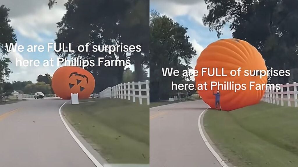 North Carolina Driver Stops in His Tracks After Spotting Giant Pumpkin Coming Right at Him: ‘It’s Gonna Hit Us!’ North Carolina Driver Stops in His Tracks After Spotting Giant Pumpkin Coming Right at Him