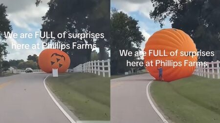 North Carolina Driver Stops in His Tracks After Spotting Giant Pumpkin Coming Right at Him: ‘It’s Gonna Hit Us!’ North Carolina Driver Stops in His Tracks After Spotting Giant Pumpkin Coming Right at Him