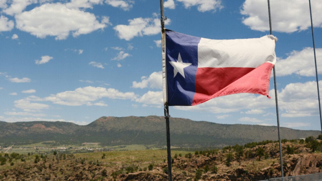 ‘I Was Dead Wrong’: ‘Black’ Georgian Moves to Texas for a Better Life, Leaves After Just 4 Months Texas flag with mountainous background