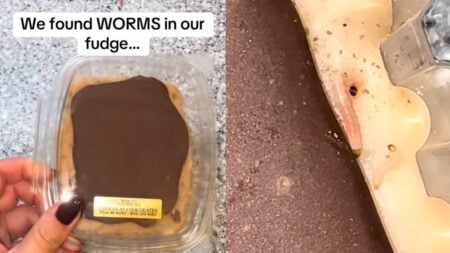 Michigan Woman Buys Fudge Dessert, Finds It Infested With Worms Days Later
