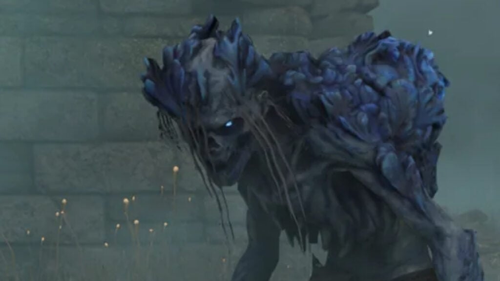 Fell Defender Enshrouded