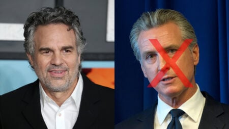 california mark ruffalo gavin newsom billionaire tax
