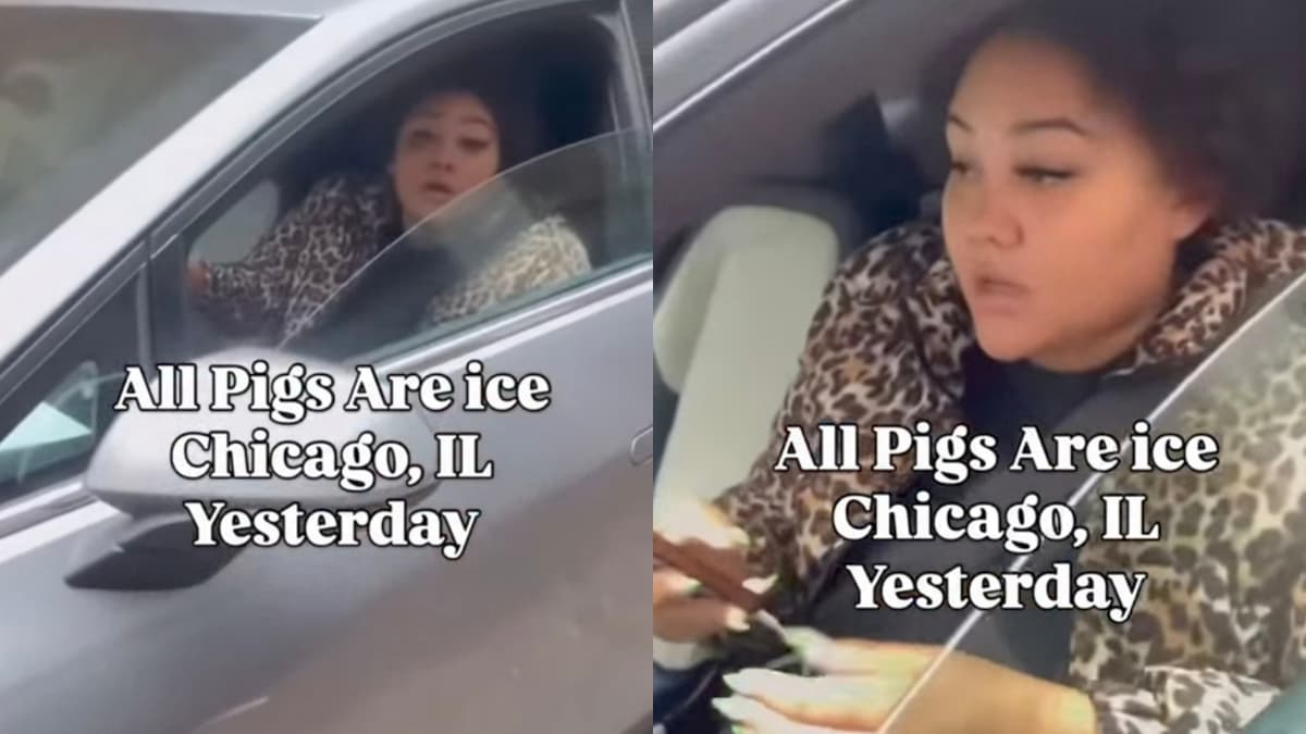 Illinois Woman Threatens to Call ICE on Man She Calls Mexican During Heated Argument: ‘Go Back to Your Country’