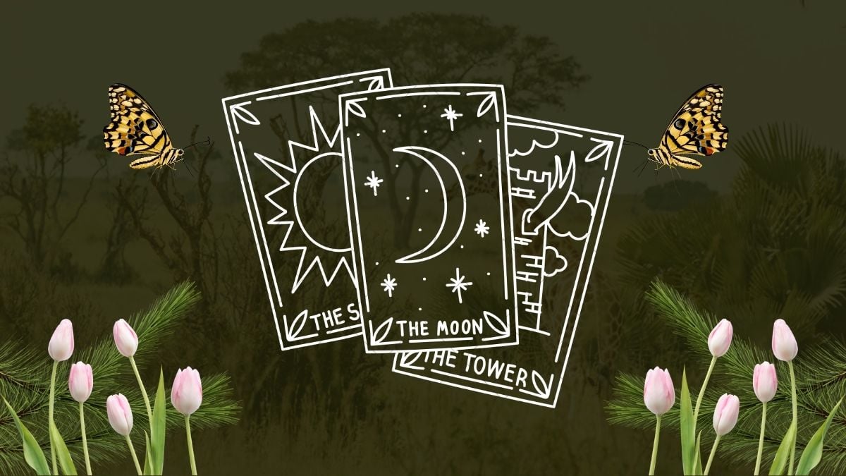 Weekly Tarot Reading: October 19–25 — We All Have Big Changes in Our Lives