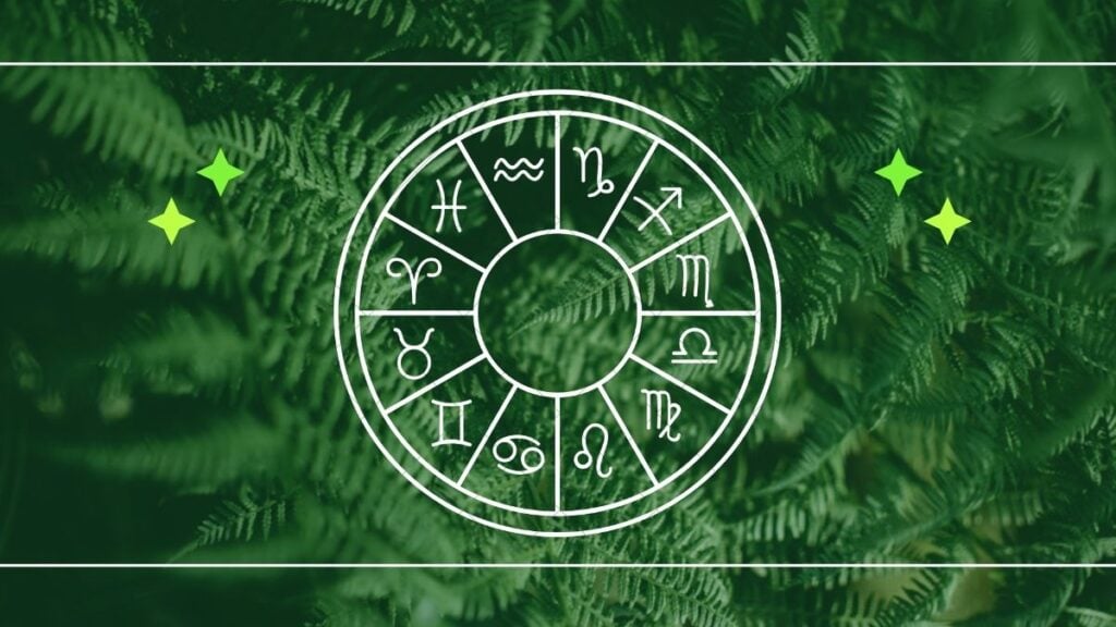 Today’s Horoscope: October 20 — Those Who Do Not Think Outside the Box Are Easily Contained Today's Horoscope: October 20 — Those Who Do Not Think Outside the Box Are Easily Contained