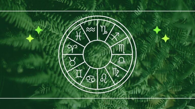 Today's Horoscope: October 20 — Those Who Do Not Think Outside the Box Are Easily Contained
