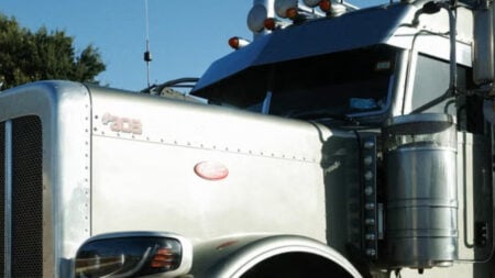 US-Born California Truck Driver Stopped by Immigration Officers While Sipping Coffee at Truck Stop: ‘Our Own People’