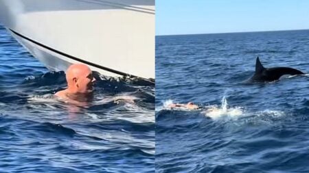 California Man Accused of Illegally Jumping Off Boat To Swim With Orcas: ‘Internet, Do Your Thang!’ California Man Accused of Illegally Jumping Off Boat To Swim With Orcas