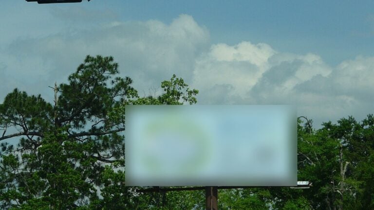 Florida Locals Shocked About the Alleged Quality Drop in a Once-Beloved Chicken Fast Food Chain: ‘Cute Ad, But It Is a No-Go’ Florida Pollo Tropical Billboard
