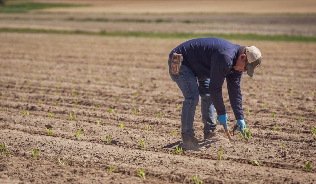 Wisconsin Farmer Says Trump Has Failed Him, Sparking Ugly ‘They Should Be on Their Own’ Backlash Wisconsin farmer