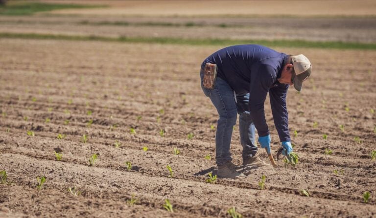 Wisconsin Farmer Says Trump Has Failed Him, Sparking Ugly ‘They Should Be on Their Own’ Backlash Wisconsin farmer
