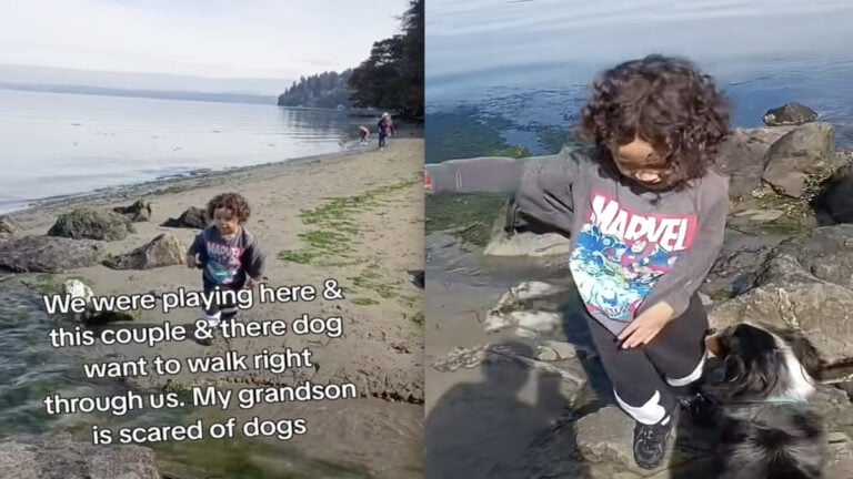 Washington Grandmother Expects Dog Owner to Bend to Grandson’s Fear of Dogs in Public State Park: ‘Oh No I Went Out in Public and the Public Was There’ Washington Grandmother Expects Dog Owner to Bend to Grandson’s Fear of Dogs in Public State Park