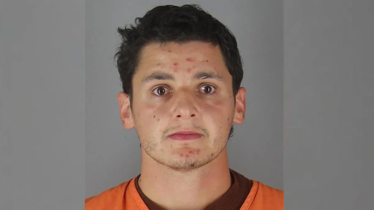 Minnesota Sex Offender, 29, Fails High School Enrollment as Teen Girl Again, Gets Arrested Instead: 'The Audacity to Think That Wig Would Pass'