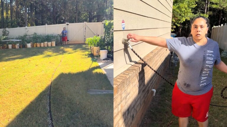 Florida Woman Outraged After Neighbor Uses Her Water to Keep Her Own Lawn Green: ‘Running a Whole Botanical Garden on Yo Dime!’ Florida Woman Outraged After Neighbor Uses Her Water to Keep Her Own Lawn Green: 'Running a Whole Botanical Garden on Yo Dime!'