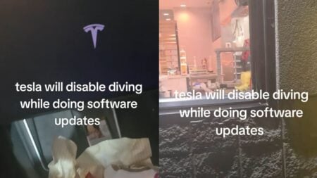 Texas Woman Gets Stuck at McDonald’s Drive-Thru as Tesla Installs Update: ‘I Would’ve Called a Tow’ Texas Woman Gets Stuck at McDonald’s Drive-Thru as Tesla Installs Update