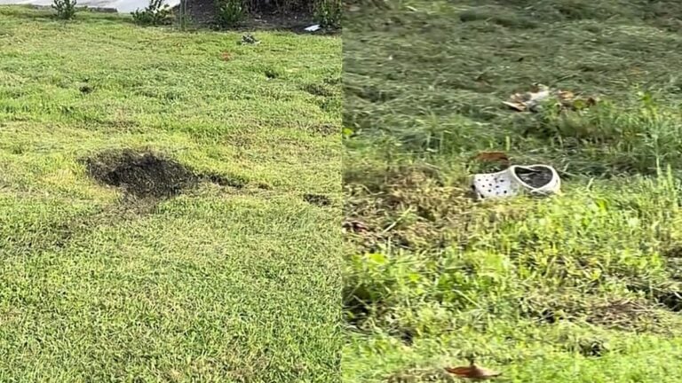 Florida Man Cuts Across Grass To Reach Gas Station, Falls Into Shoe-Eating Sinkhole: ‘It’s Croc Infested’ Florida Man Cuts Across Grass To Reach Gas Station, Falls Into Shoe-Eating Sinkhole