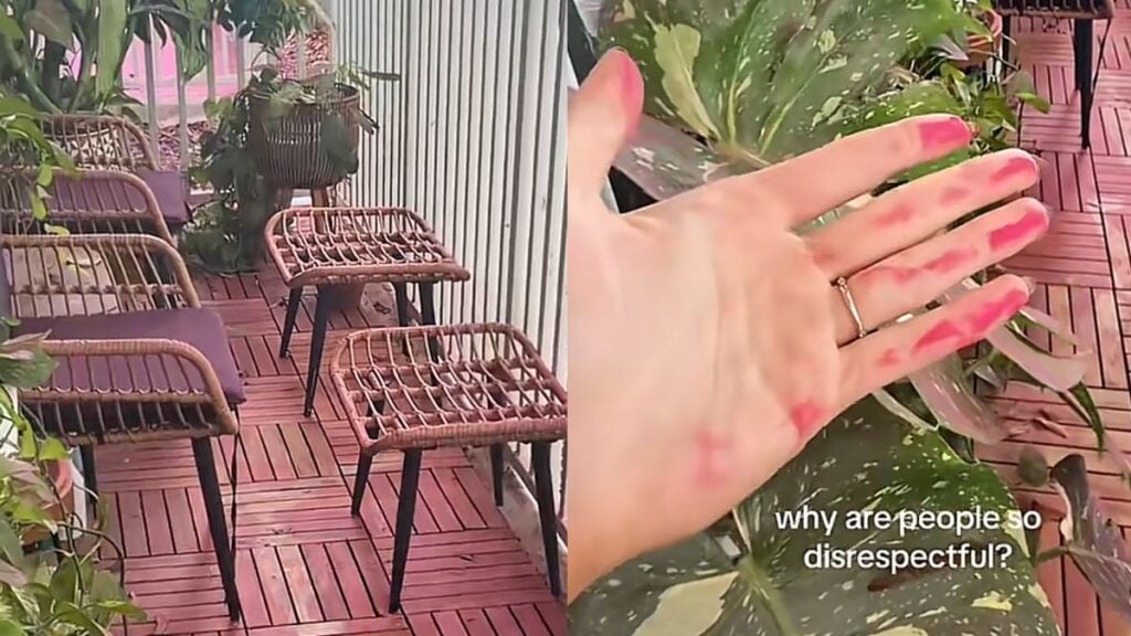 Texas Apartment Complex Left in Disarray After Gender Reveal’s Pink Dust Extravaganza: ‘Why Are People So Disrespectful?’ Texas Apartment Complex Left in Disarray After Gender Reveal's Pink Dust Extravaganza