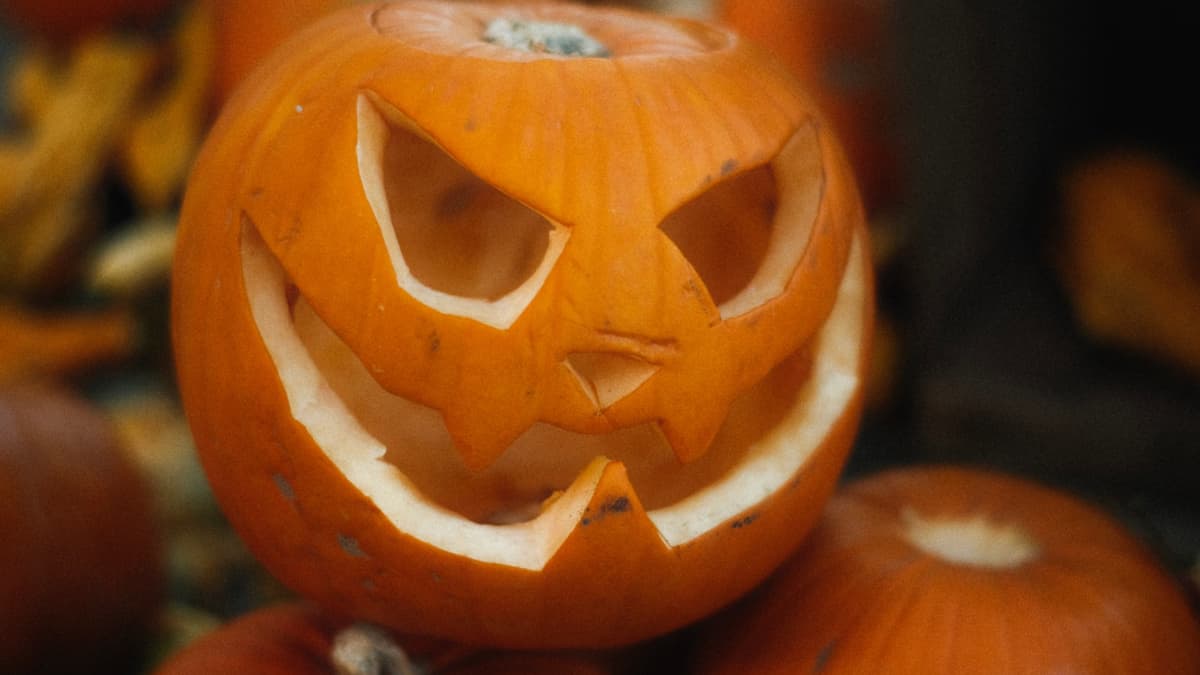 ‘This Is Insanity’: Pennsylvania Shoppers Clash Over ‘Illegal’ Halloween Pumpkin Tax at Major Retailers