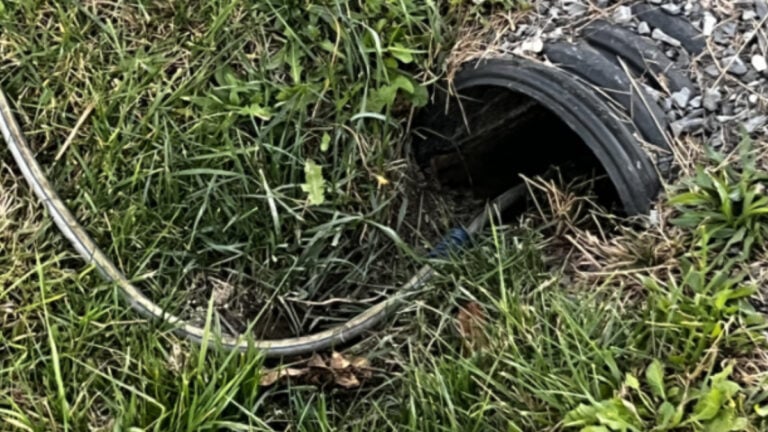 ‘At What Point Did This Become Acceptable Behavior?’: Virginia Resident Says Neighbors Pump Wastewater Into Community Ditch Virginia Resident Says Neighbors Pump Wastewater Into Community Ditch
