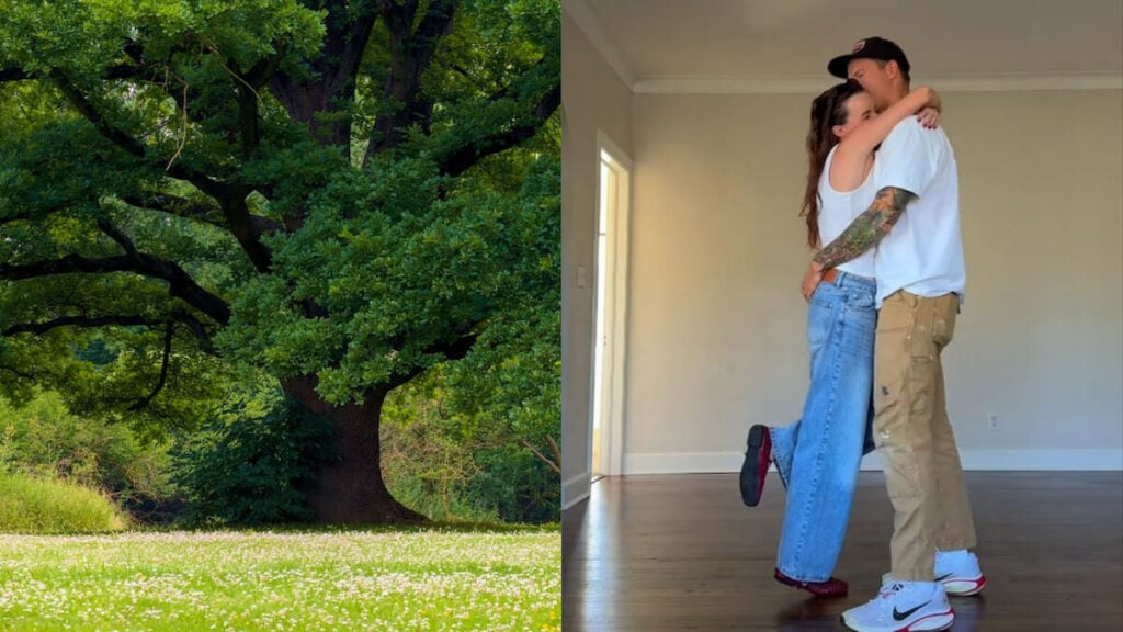 ‘The Tree Was There First’: Florida Couple Faces Backlash for Cutting Down Century-Old Oak Tree to Save Their Home Florida Couple Removes Historic Oak Tree