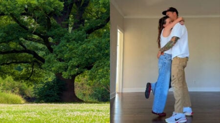 Florida Couple Removes Historic Oak Tree