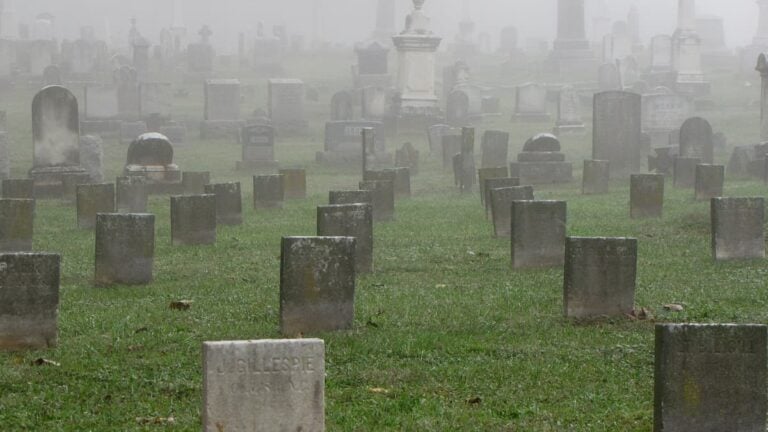West Virginia Has a Terrifying New Claim to Fame, and Residents Might Want to Sleep With Their Lights on West Virginia, foggy graveyard